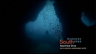 South Andaman 2022 x Tapana Liveaboard 4K