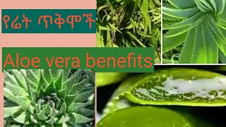 #የሬት ጥቅም  /#Aloe vera benefits