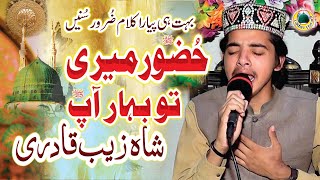 Urdu Naat | Sad Naat | Huzoor Meri to Sari Bahar Apse by Shah Zaib Qadri