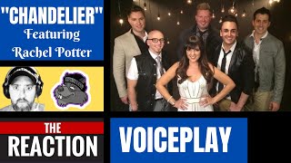 SQUIRREL Reacts to Chandelier - VoicePlay feat. Rachel Potter