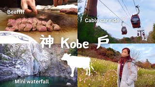 'Chinatown' in Osaka Kobe? 🏮｜Tasting local beef🐂Poor cow...｜Herb garden \u0026 Cable car ride🚡