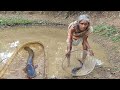 rural poor old Grandma cooking MAGUR FISH CURRY with tomato & eating with hot rice||village cooking