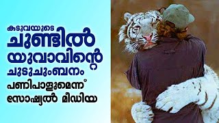 കടുവയുടെ ചുണ്ടിൽ യുവാവിന്റെ ചുടുചുംബനം | Man kissing White tiger | Tiger Lovers | Kalakaumudi TV