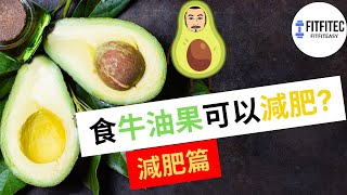 食牛油果可以減肥嗎❓ 卡路里 減肥篇 | fitfitec