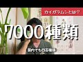 すす病完治！プロが教える葉が黒くなった時の治し方と対策（有料級）