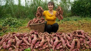 Single Mom Harvest sweet potatoes to sell - Gardening, planting corn and taking care of my daughter