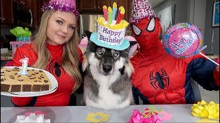 Spiderman & Spider Girl Surpise Kakoa For Her 1st Birthday!