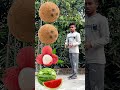 rounding coconut to grapes mango lichi u0026 watermelon fruits names magic video