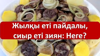 Жылқы еті пайдалы, сиыр еті зиян: Неге?