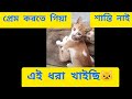 🙀♥️আমার বিড়ালের প্রেমের কাহিনী | 