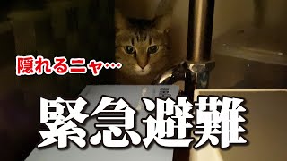 【石川県に線状降水帯発生】カメラが揺れるほどの大きなカミナリ音に猫も緊急避難！