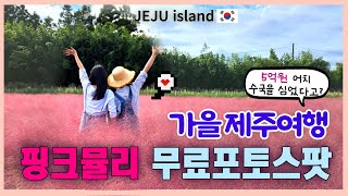 제주 동쪽여행지 추천: 핑크뮬리 무료 포토스팟. 제주도 가을여행. 제주살이 노하우! 제주 신상 핫플 #스타벅스 #jeju #jejutrip #제주여행 #제주송당 일년살이. 한달살이