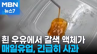 흰 우유에서 갈색 액체가…매일유업, 제품 회수 이어 사과문 발표 [MBN 뉴스7]