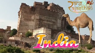 Mehendargarh Fort | Vlog | Wild Life | Lake | Indian Historical Place | What is Life ? MSM