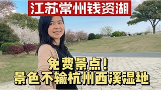 江苏常州又一免费景点，钱资湖，景色一点都不比杭州西溪湿地差，相比杭州这门票，常州真是太好了