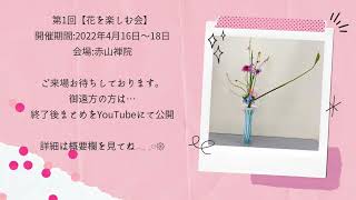 第1回『花を楽しむ会』予告 【いけばな池坊 Ikebana】【flower】 🌸