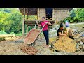 The boy alone harvested peanuts and brought them to the market to sell Chúc Thị Hồng