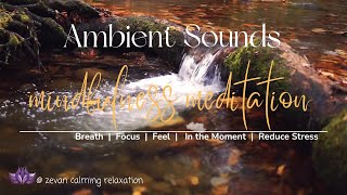 Mindfulness Meditation | Ambient Sounds - Breath, Focus, Reduce Stress