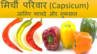 मिर्ची परिवार Difference between Capsicum Varieties. Mirch ke fayde. Nutrition \u0026 Side Effects