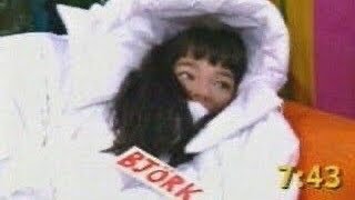 some of my personal favorite björk moments