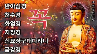 매일 1번 듣는 소원 실현 명상 🌟 건강, 부자, 성공, 행운을 부르는 우리말 천지팔양신주경 🙏