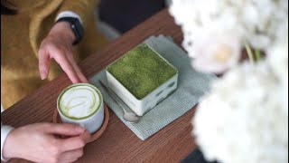 Green Tea (Matcha) Tiramisu | 抹茶提拉米苏