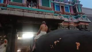 Famous Vaikunta dwara darshan at Tirumala temple |  Vaikunta Ekadasi Festival |