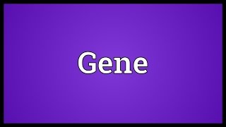 Gene Meaning