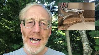 Cape Cod Chronicle video preview for July 13, 2023