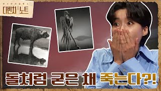 닿기만 해도 돌처럼 굳은 채 죽는다?! {나트론 호수} 미스터리! #다빈치노트 EP.6 | tvN 210911 방송