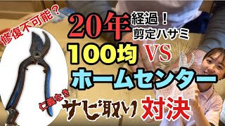 ２０年前の剪定鋏を１００均の道具とホームセンターの道具で錆落とし対決。