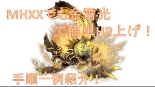 【MHXX】G級防具不要の飯無し簡単HR上げ手順紹介(金雷公10,4pt43秒)