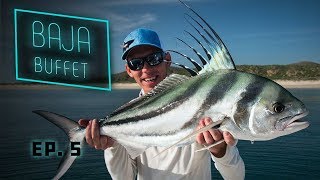 Baja Buffet - Roosterfish Fly Fishing!!!