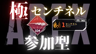 [ 参加型 ]  APEX ランク