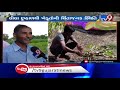 after heavy rains chhota udaipur farmers face big losses tv9gujaratinews