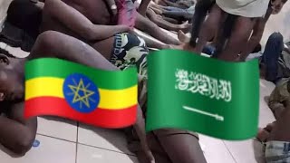 #Motumma #Ethiopia moo kan Saudi arabaa Ijollee saudi galchuu didee#oromo#ethiopia