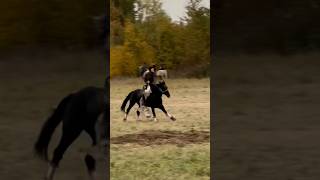 Акоша човандози ш.норак бо аспи “СПАРТАК„ #улок #horse #лошад #бузкаши #лошадь