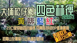 [香港行山郊遊好去處] 松仔園四色林徑| 高CP值體驗級行山好路線 |沿途指示清晰|紅藍啡黃四色由淺入深|圍繞鹿山的竹林隧道|一路行一路傾吓行山鞋有咩要注意|大埔行山路線|HK HIKING