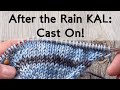 After the Rain KAL:  Cast On!