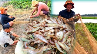 Amazing fishing-Everyone should watch this fishermen´s video. ការនេសាទត្រីតាមជនបទ