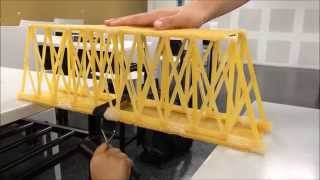 MECH270 Basic Mechanics 1 Spaghetti Bridge Project