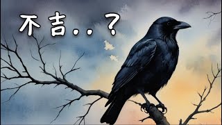 【雑学】太陽神だった！？カラスが「不吉の象徴」と言われる理由とは【豆知識】