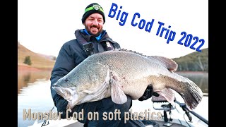 Monster Murray Cod on Big soft plastics, Burrinjuck Dam Winter 2022.