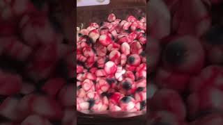 Gummy Bears Train truck #shorts #train
