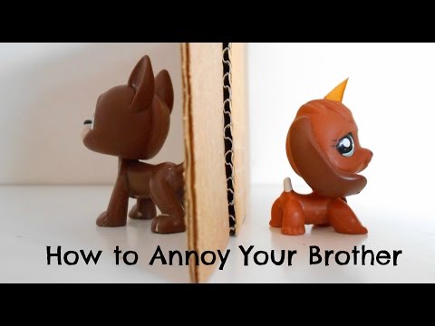 LPS: How to Annoy Your Brother LPS: How to Annoy Your Brother