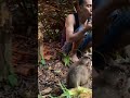 Tutorial menyuruh monkey mencuri