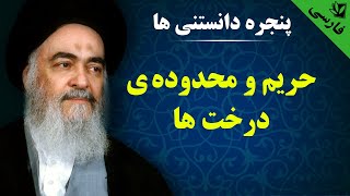 پنجره دانستنی ها - حریم و محدوده ی درخت ها - آیت الله العظمی سید محمد حسینی شیرازی رحمه الله