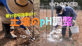 【重要】土壌のpH(ペーハー)で養分の吸収効率が変わる！