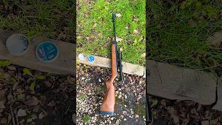 BSA Super Meteor MK4 #bsa #chilledplinking #airgunworld