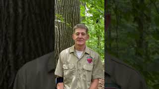 SAF 20223 Awards | Presidential Field Forester - District 8 - David Powell, CF